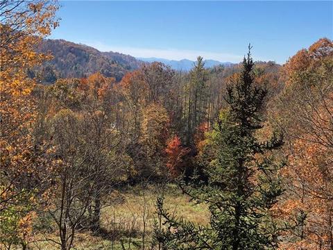2655 E Fork Rd, Marshall, NC 28753 photo 30