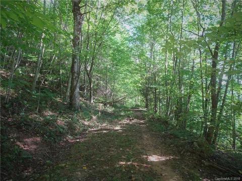 2655 E Fork Rd, Marshall, NC 28753 photo 32