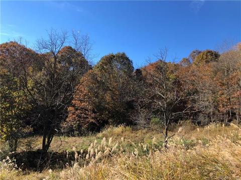 2655 E Fork Rd, Marshall, NC 28753 photo 25