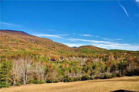 72 Wildcat View Ln, Mill Spring, NC 28756 photo 6