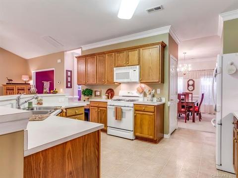 7419 Gate Key Ct, Stanley, NC 28164 photo 5
