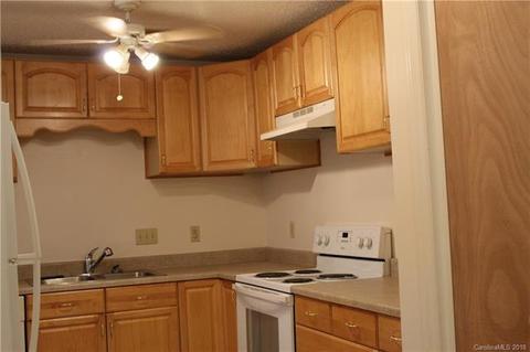 1180 Bishop Ln, Mill Spring, NC 28756 photo 4