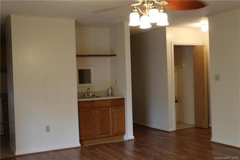 1180 Bishop Ln, Mill Spring, NC 28756 photo 8