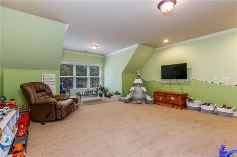 13523 Robert Walker Dr, Davidson, NC 28036 photo 27