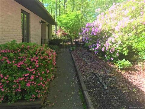 164 Winners Cir, Tryon, NC 28782 photo 27