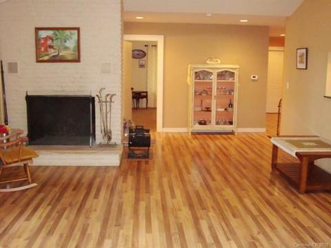 164 Winners Cir, Tryon, NC 28782 photo 4