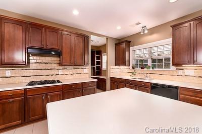 10331 Falling Leaf Dr, Concord, NC 28027 photo 19
