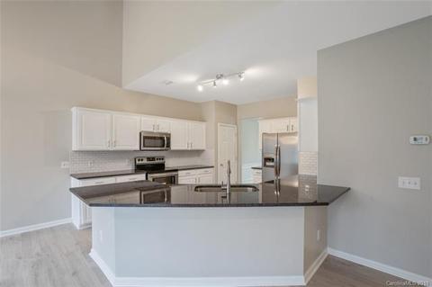 20809 Brinkley St, Cornelius, NC 28031 photo 8