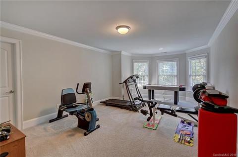 4334 Rustling Woods Dr, Denver, NC 28037 photo 27