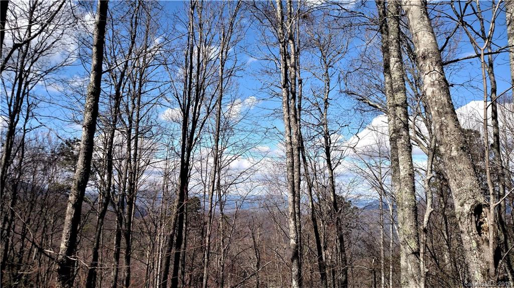0000 Raven Crest Lot 6 Sec 2 Ln Unit LOT 6 SEC 2  