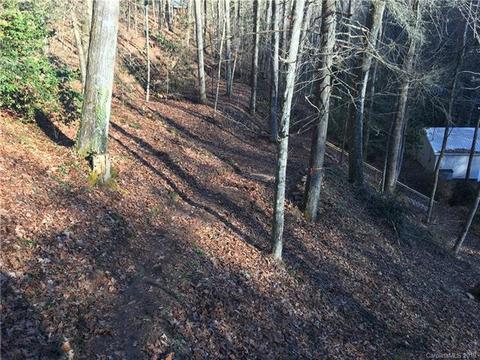 10 Edwards Rd, Cedar Mountain, NC 28718 photo 12