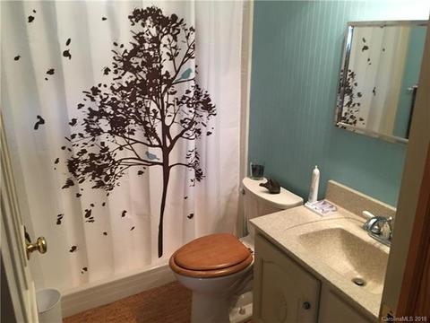 10 Edwards Rd, Cedar Mountain, NC 28718 photo 20