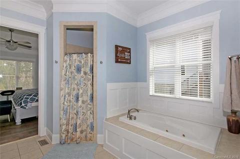 19018 Serenity Point Ln, Cornelius, NC 28031 photo 15
