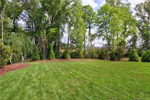 19018 Serenity Point Ln, Cornelius, NC 28031 photo 34