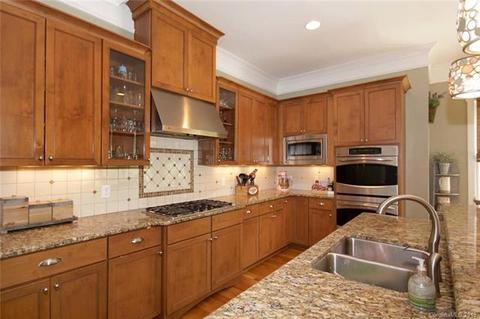19018 Serenity Point Ln, Cornelius, NC 28031 photo 9