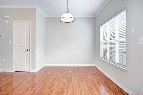 1009 Central Park Cir, Davidson, NC 28036 photo 8