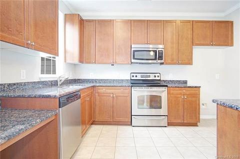 1009 Central Park Cir, Davidson, NC 28036 photo 9
