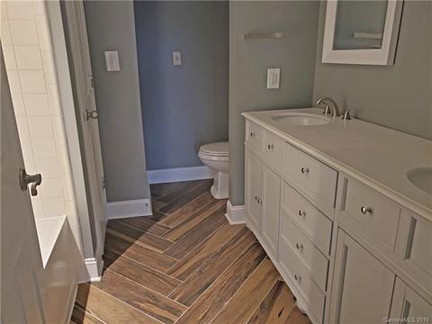 18675 Vineyard Point Ln, Cornelius, NC 28031 photo 11