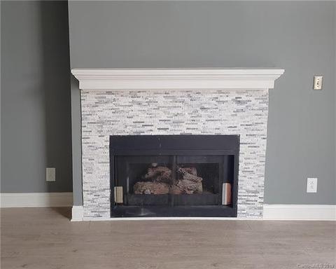18675 Vineyard Point Ln, Cornelius, NC 28031 photo 5