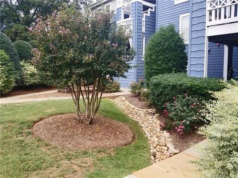 18675 Vineyard Point Ln, Cornelius, NC 28031 photo 4