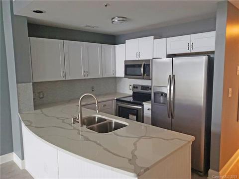 18675 Vineyard Point Ln, Cornelius, NC 28031 photo 8