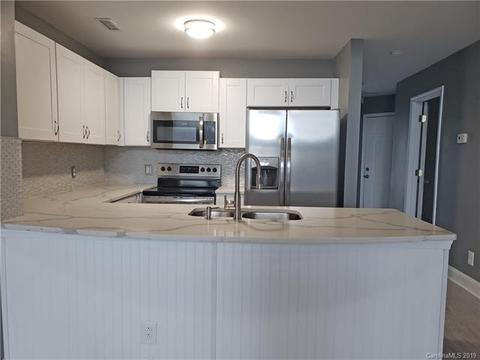 18675 Vineyard Point Ln, Cornelius, NC 28031 photo 6