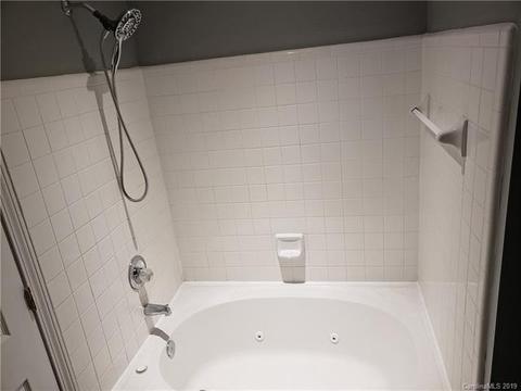 18675 Vineyard Point Ln, Cornelius, NC 28031 photo 13
