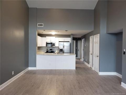 18675 Vineyard Point Ln, Cornelius, NC 28031 photo 9