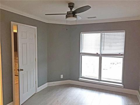 18675 Vineyard Point Ln, Cornelius, NC 28031 photo 14