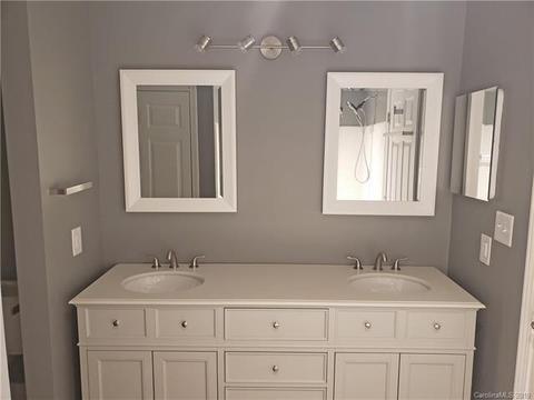 18675 Vineyard Point Ln, Cornelius, NC 28031 photo 12