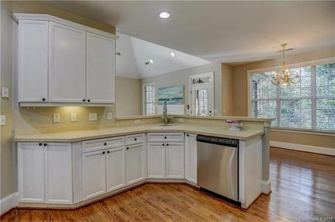 20653 Spring Grove Ln, Cornelius, NC 28031 photo 8