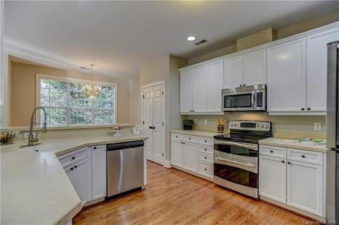 20653 Spring Grove Ln, Cornelius, NC 28031 photo 7