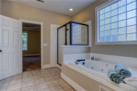 20653 Spring Grove Ln, Cornelius, NC 28031 photo 16