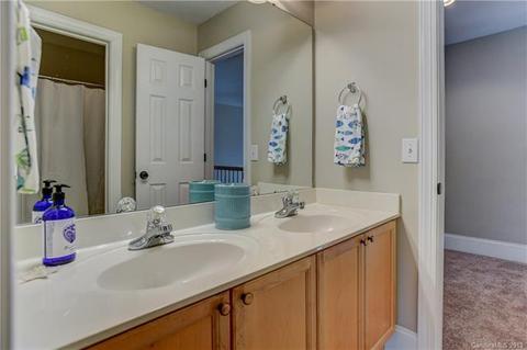 20653 Spring Grove Ln, Cornelius, NC 28031 photo 27