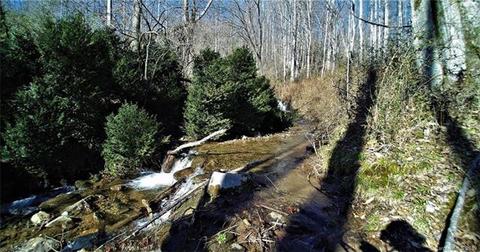 1005 Monteith Branch Rd, Sylva, NC 28779 photo 19