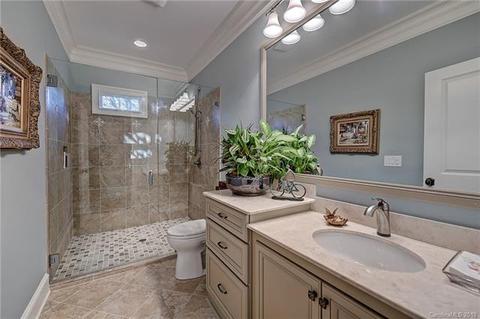 18841 River Falls Dr, Davidson, NC 28036 photo 19