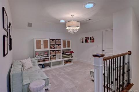 18841 River Falls Dr, Davidson, NC 28036 photo 22