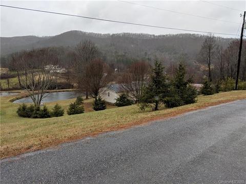204 Beaverdam Loop Rd, Candler, NC 28715 photo 5