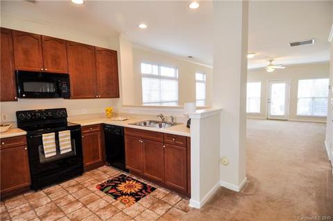 534 Jetton St, Davidson, NC 28036 photo 2