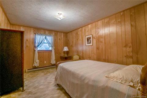 11 Mountainview Dr, Canton, NC 28716 photo 15