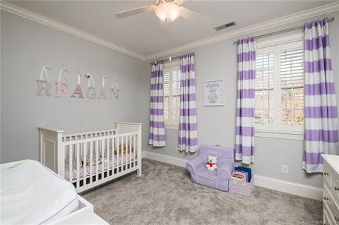 18532 Rollingdale Ln, Davidson, NC 28036 photo 20