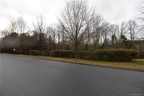 20140 Amy Lee Dr, Cornelius, NC 28031 photo 3
