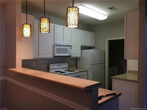 19731 Deer Valley Dr, Cornelius, NC 28031 photo 9