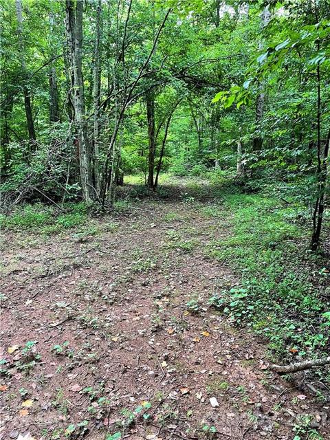 2463 Pea Ridge Rd, Mill Spring, NC 28756 photo 12