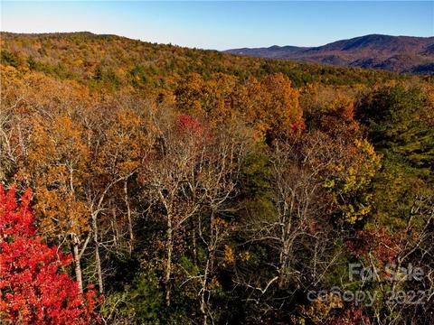 000 Dogwood D5 Ln #D5, Penrose, NC 28766