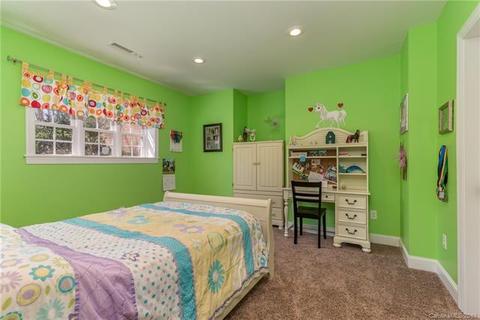 150 William Gilbert Loop, Rutherfordton, NC 28139 photo 34