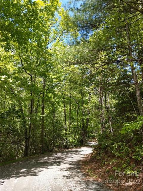 000 Dogwood E7 Dr #E7, Penrose, NC 28766