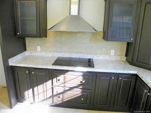 2001 Silver Creek Rd, Mill Spring, NC 28756 photo 16