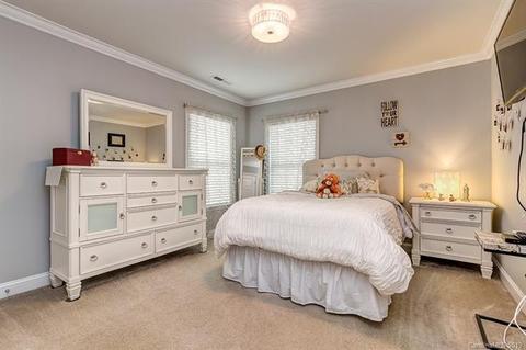 3380 Bitterroot Pl, Davidson, NC 28036 photo 16