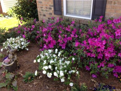 834 Sinclair Dr, Monroe, NC 28112 photo 2